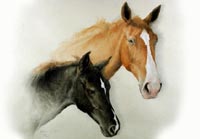 Fiona Vickery - Tierportraits: Stute mit Fohlen