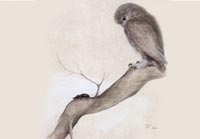 Fiona Vickery - Animal Portraits: Owl and Beetle