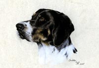 Fiona Vickery - Tierportraits: Smokie