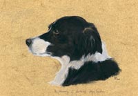 Fiona Vickery - Tierportraits: Tinkerbell